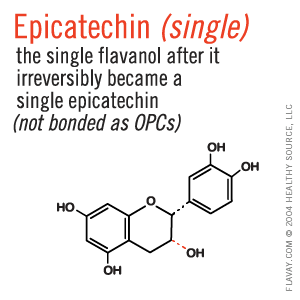 Epicatechin: the single flavanol after it irreversibly became a single epicatechin, not bonded as OPCs.