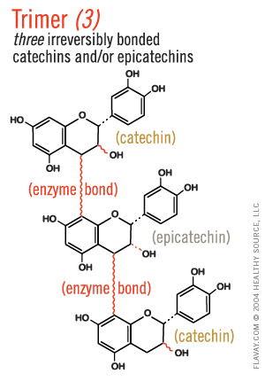 Trimer: three irreversibly bonded catechins and/or epicatechins.