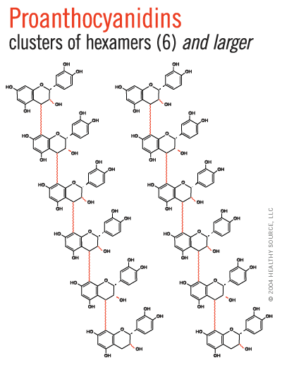 Diagram of large proanthocyanidins, also known as tannins. Large proanthocyanidins are antinutritive because they bind to dietary fiber or proteins and prevent absorption of useful nutrients.